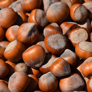 Coffee Hazelnut Xeways
