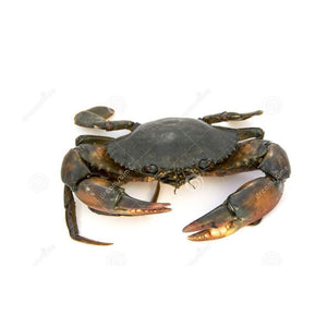 Crab (Mud) 2-3 pcs / Kg Fresh