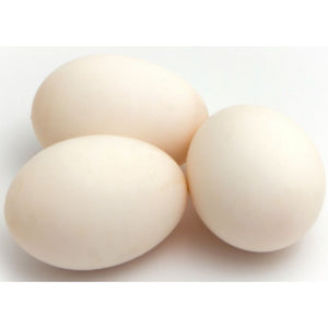 Duck Eggs