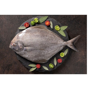 Fresh Black Pomfret Cambay Tiger