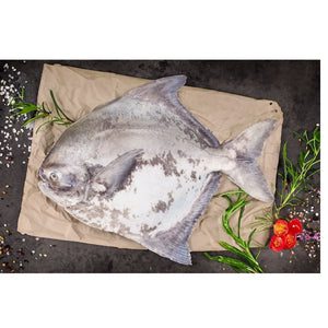 Fresh Chinese Pomfret - Whole Cambay Tiger