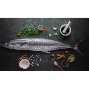 Fresh Seer Fish_ Surmai Cambay Tiger