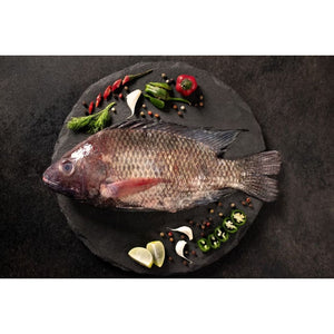 Fresh Tilapia Cambay Tiger
