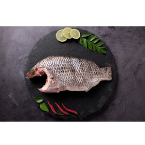 Fresh Tilapia Moon Cut Cambay Tiger