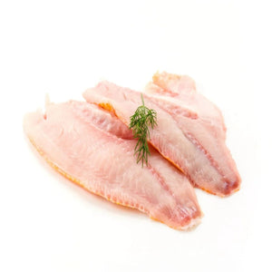 Ghol Fish Fillet Fresh