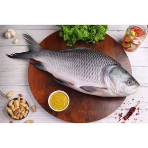 Katla Fish Fresh