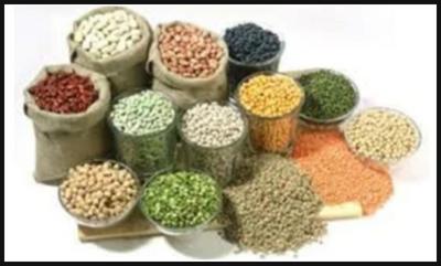 Indian Dal & Pulses
