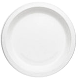 10 inch Bagasse Plain Plate