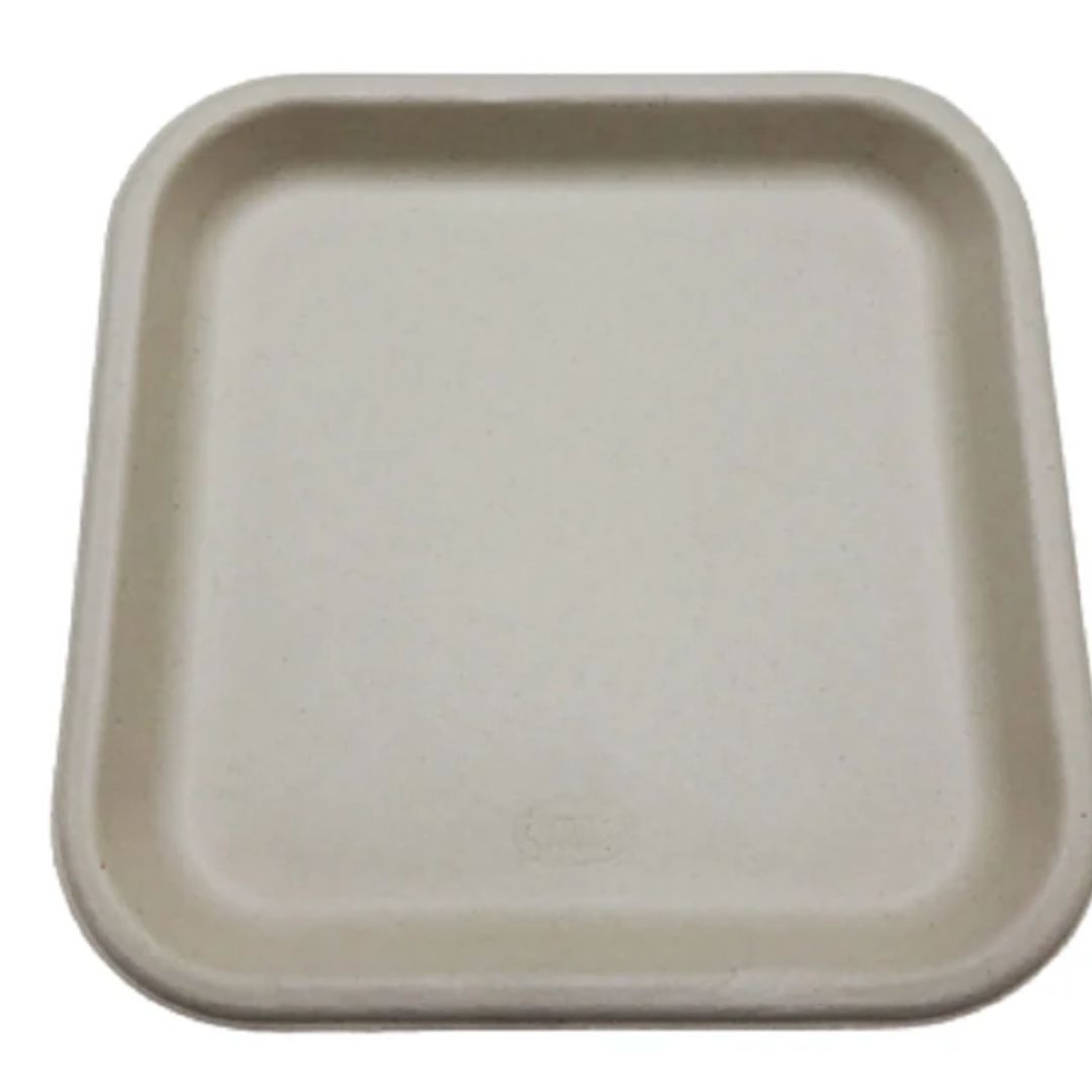 9 inch Square Plate