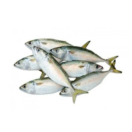 Bangda (Mackerel)  8pcs / Kg   Fresh