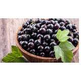 Blackcurrant  1kg