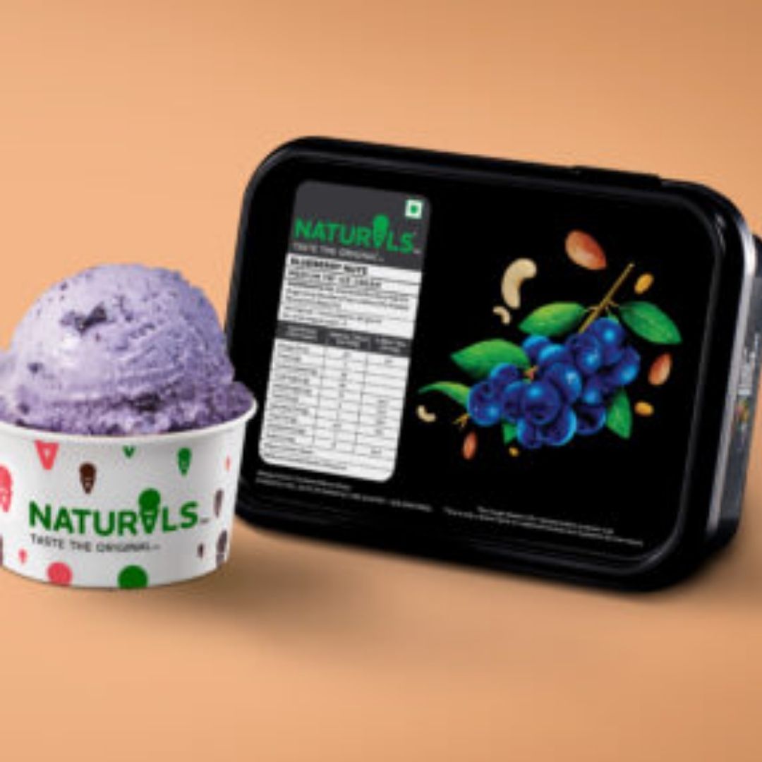 Blueberry Nuts Ice Cream  Naturals