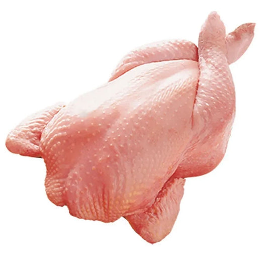 Chicken Bird With Skin 800-900G