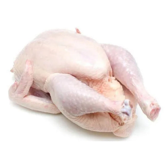Chicken Bird Without Wing 1000-1300G