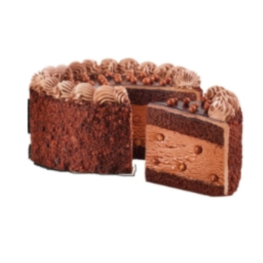 Chocolate Overload Ice Cream Cake 500ml Vadilal