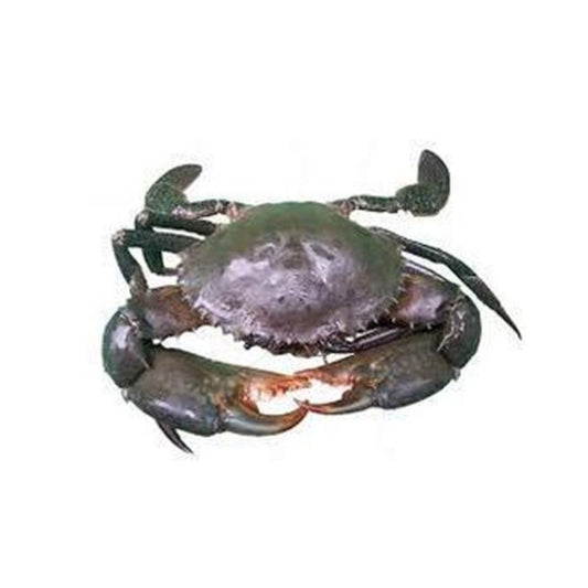 Crab (Sea)  Fresh