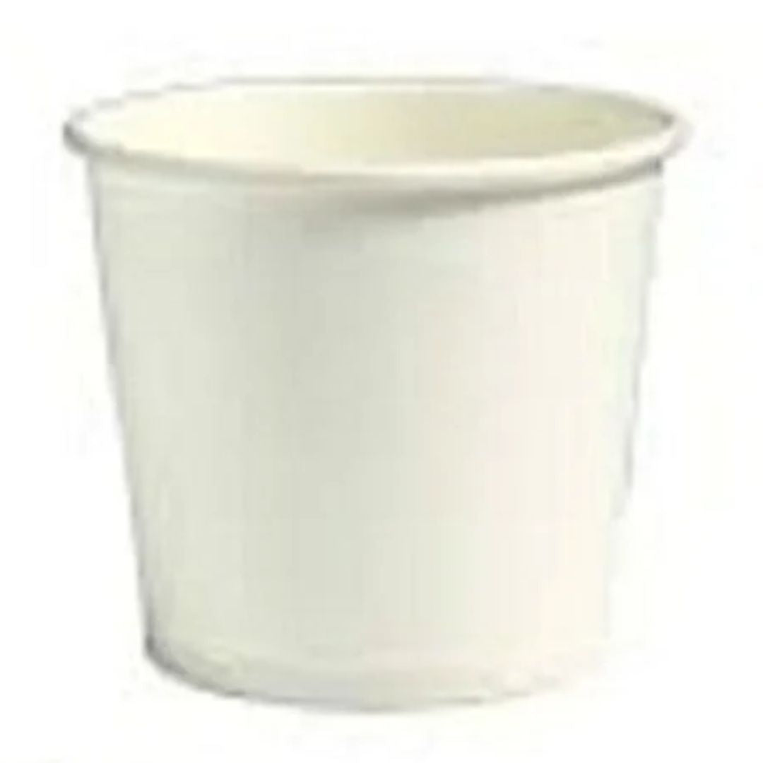 Disposable Paper Cup