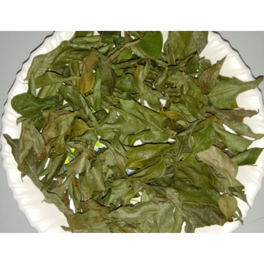 Dehydrated  Curry Leaves 100 gm gourmet kitchen