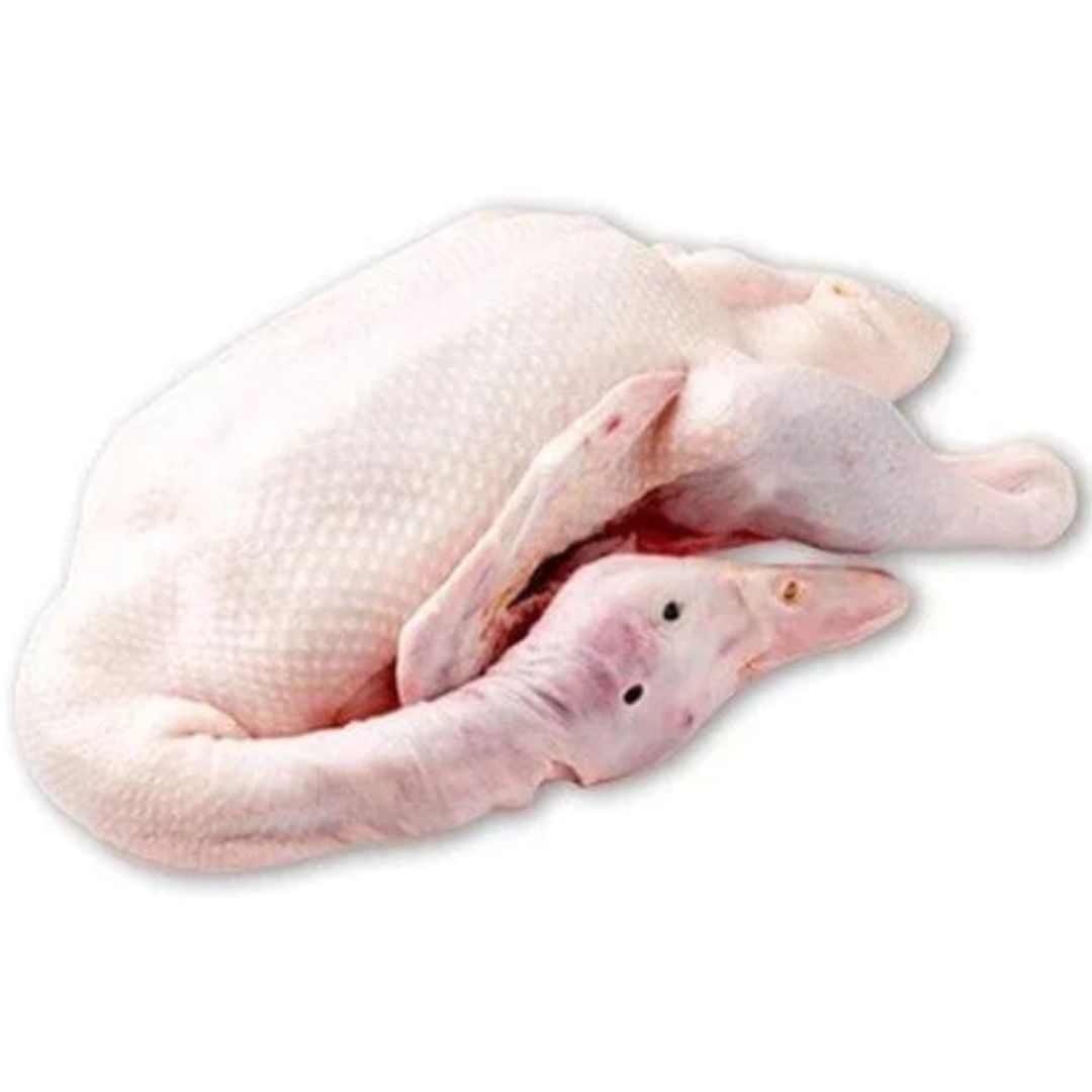 Duck Pekin White With Skin Fresh With Head Fresh