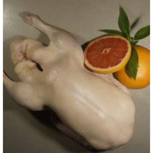 Duck Pekin White With Skin (Frozen)  AK Foods & Beverages