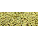 Fennel Thick 500Gm