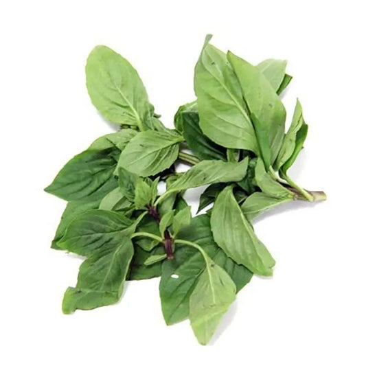 Fresh Basil 1 Kg