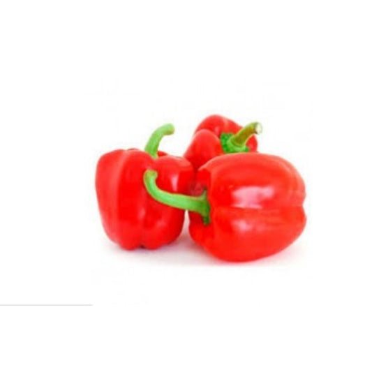 Fresh Capsicum Red 1 Kg