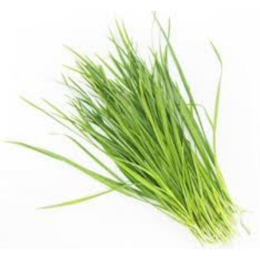 Fresh Chives Garlic Imported 1 Kg