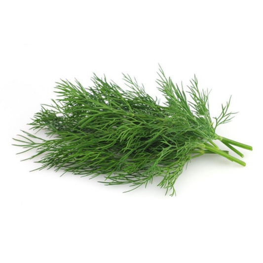 Fresh Dill Leaves 1 Kg