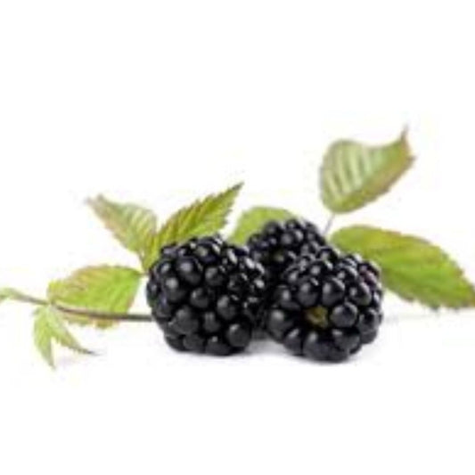 Fresh Fruit Blackberry (Imported) Pack of 125 gms