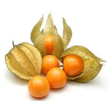 Fresh Fruit Cape Gooshberry (Imported) Pack of 125 gms