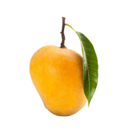 Fresh Fruit Mango Alphonso Indian 1 Kg