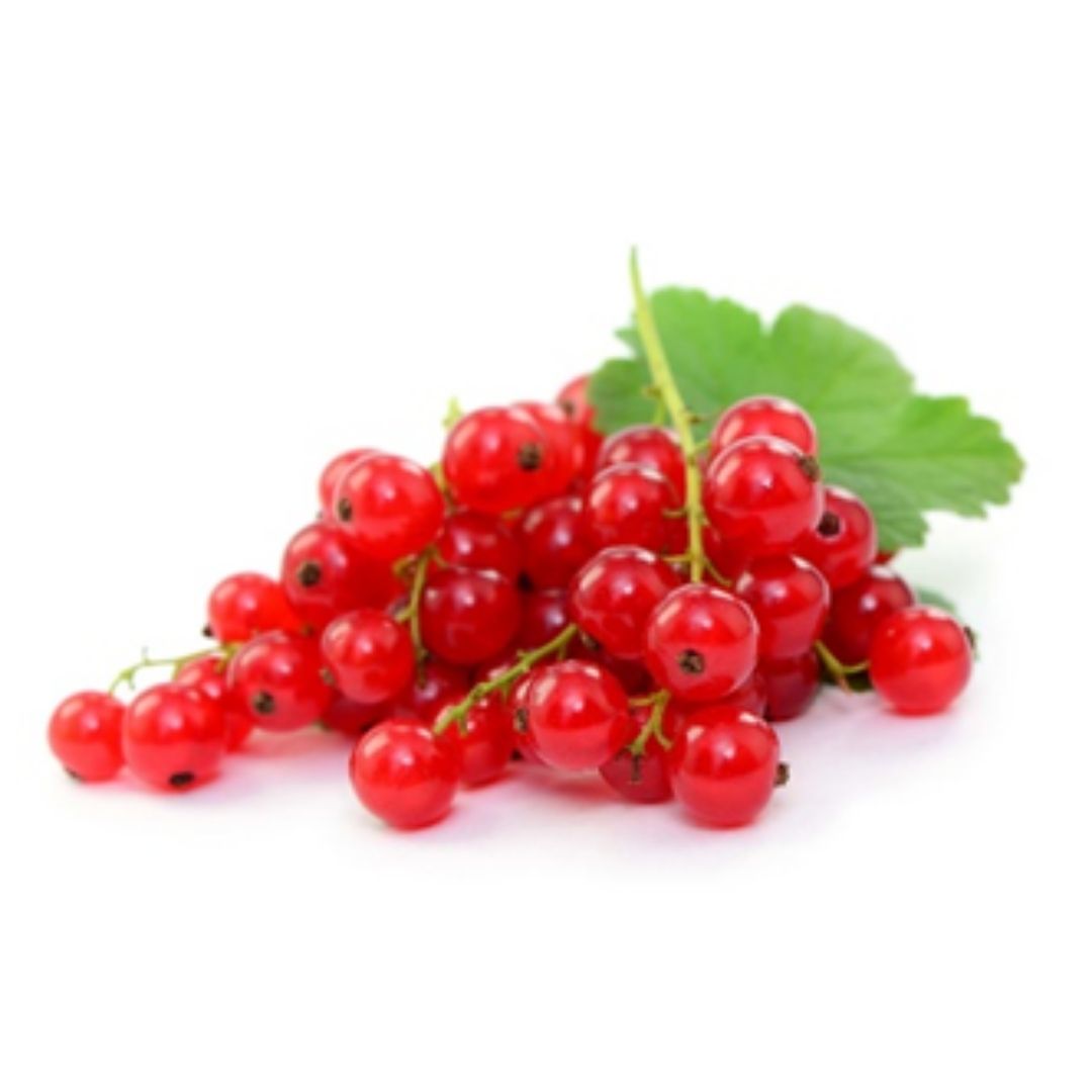 Fresh Fruit Red Current Imported 1 Kg