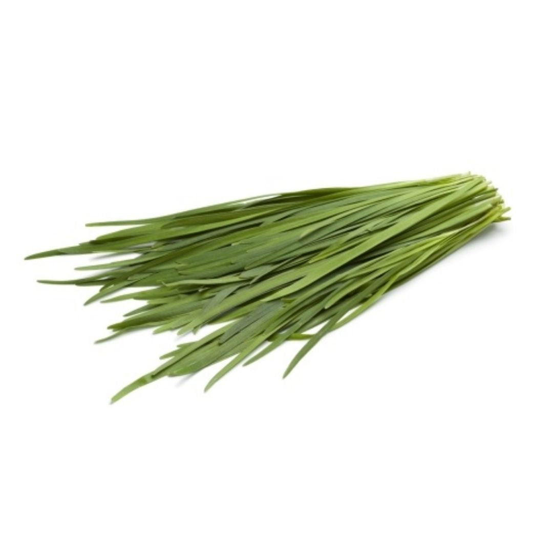 Fresh Herbs Chives 1 Kg – JITCO