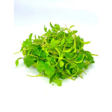 Fresh Microgreen Corriander Cress 1 Kg