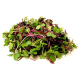 Fresh Microgreen Mixed 1 Kg