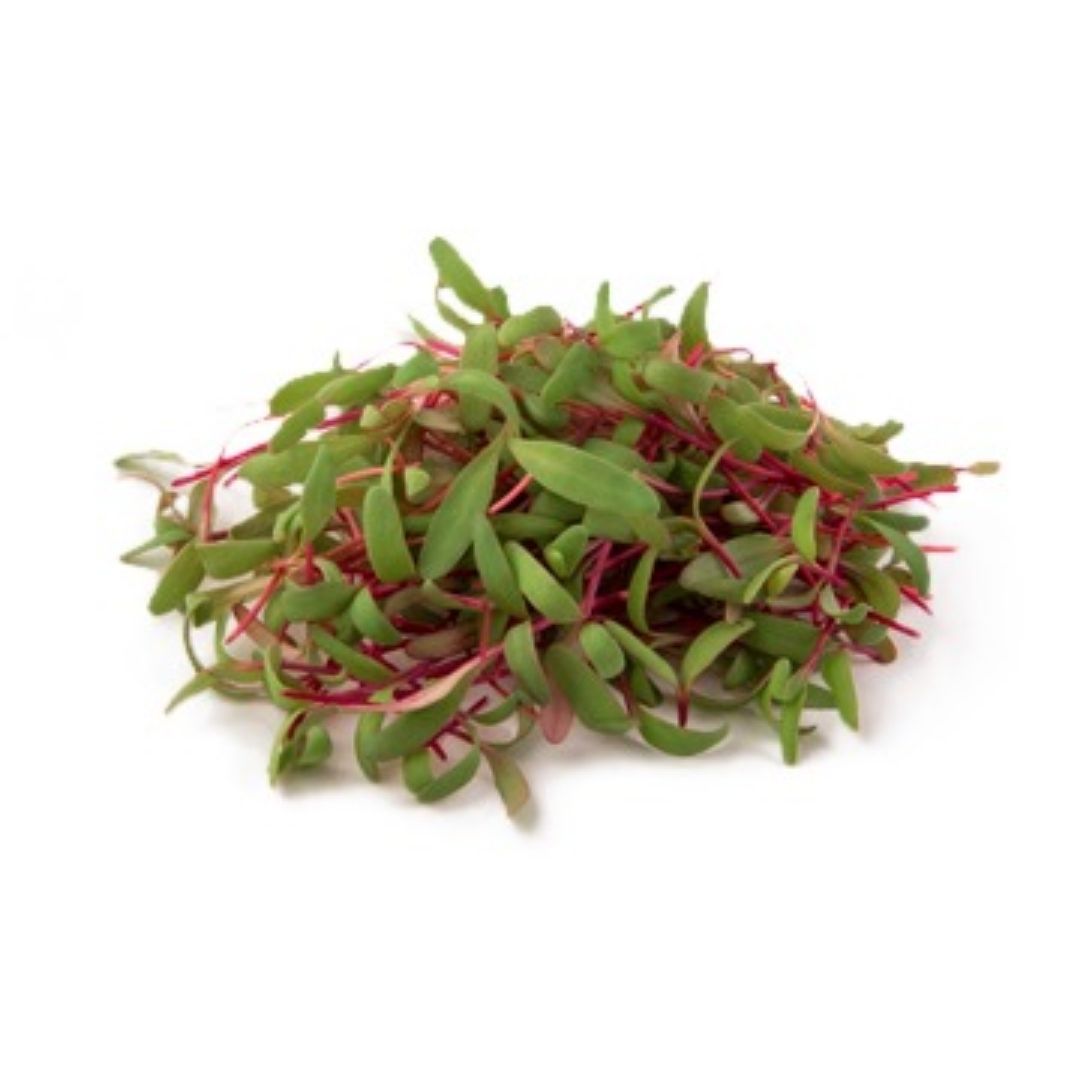 Fresh Microgreens Beetroots 1 Kg