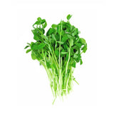 Fresh Microgreens Peas Shoot 1 Kg