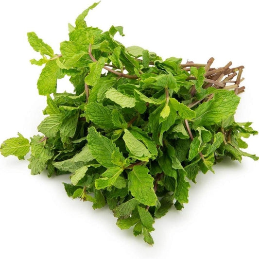 Fresh Mint Leaf 1 Kg