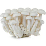Fresh Mushroom Shimeji White 1 Kg