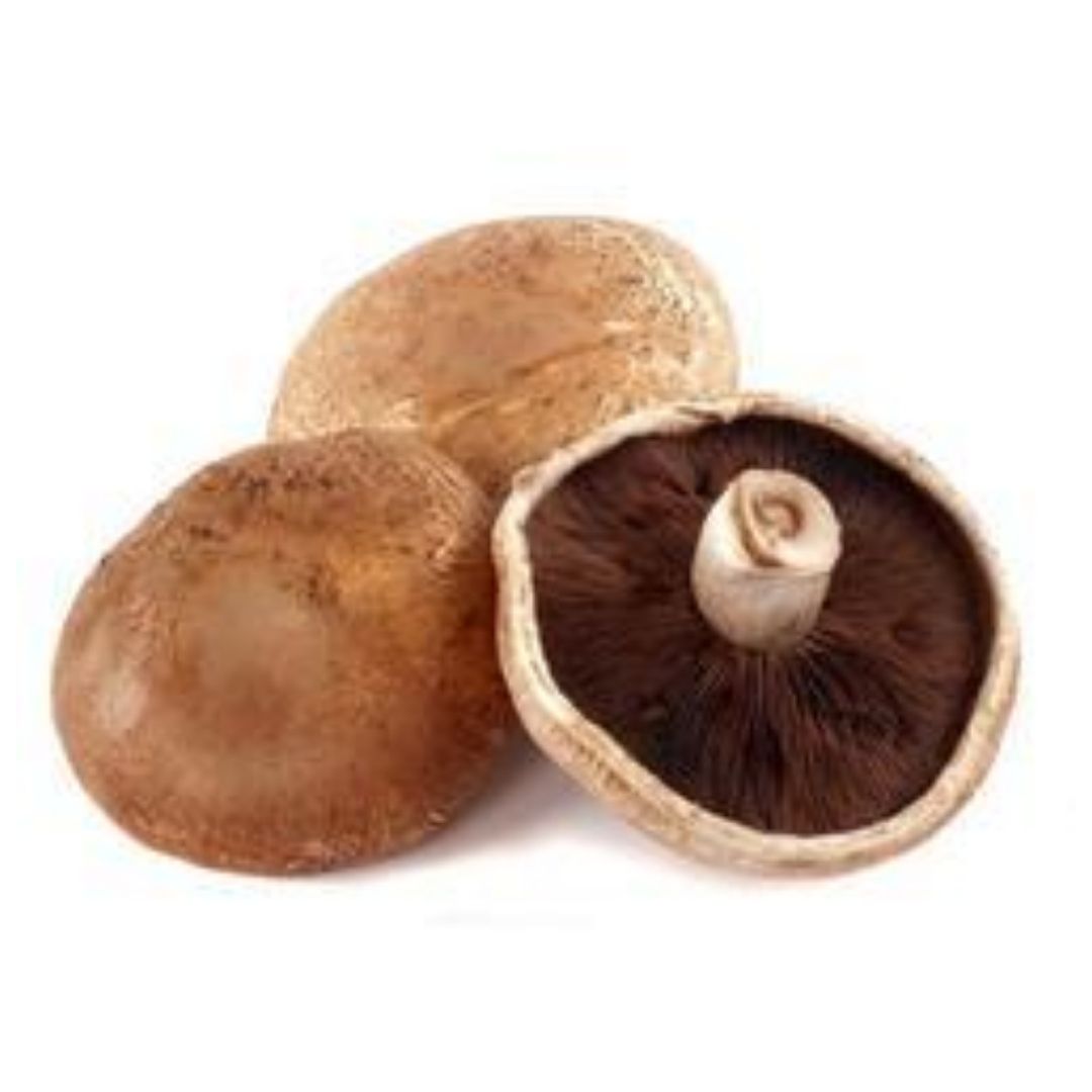 Fresh Mushroon Portabello Indian 1 Kg