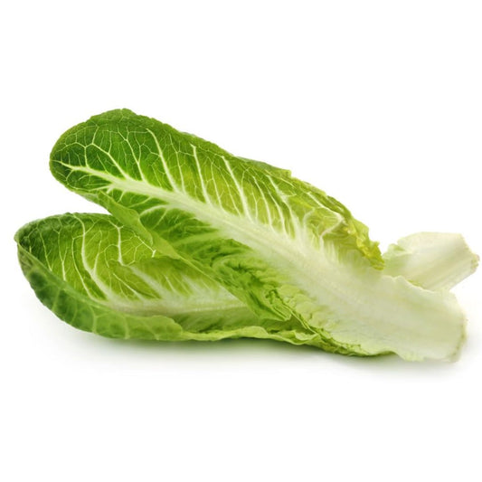 Fresh Romaine kg