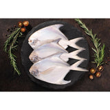 Fresh Silver Pomfret Medium - Whole Cambay Tiger