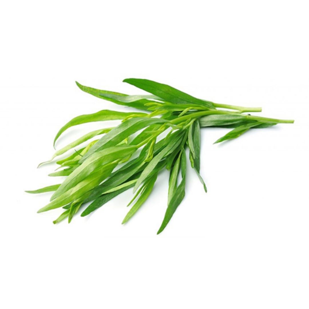 Fresh Tarragon Herbs Imported 1 Kg