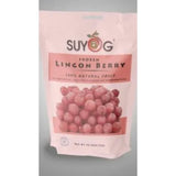 Frozen Whole Lingonberries 1kg Suyog