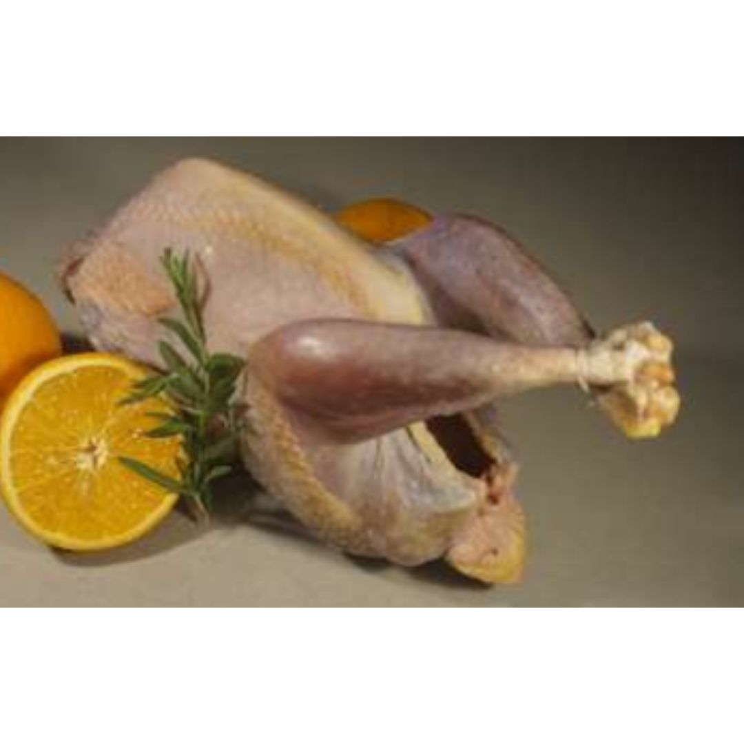 Guinea Fowl (Frozen)  AK Foods & Beverages