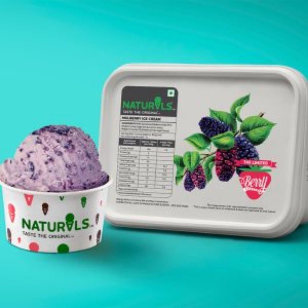 Mulberry Ice cream  Naturals