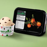 Orange Chocolate Ice Cream  Naturals