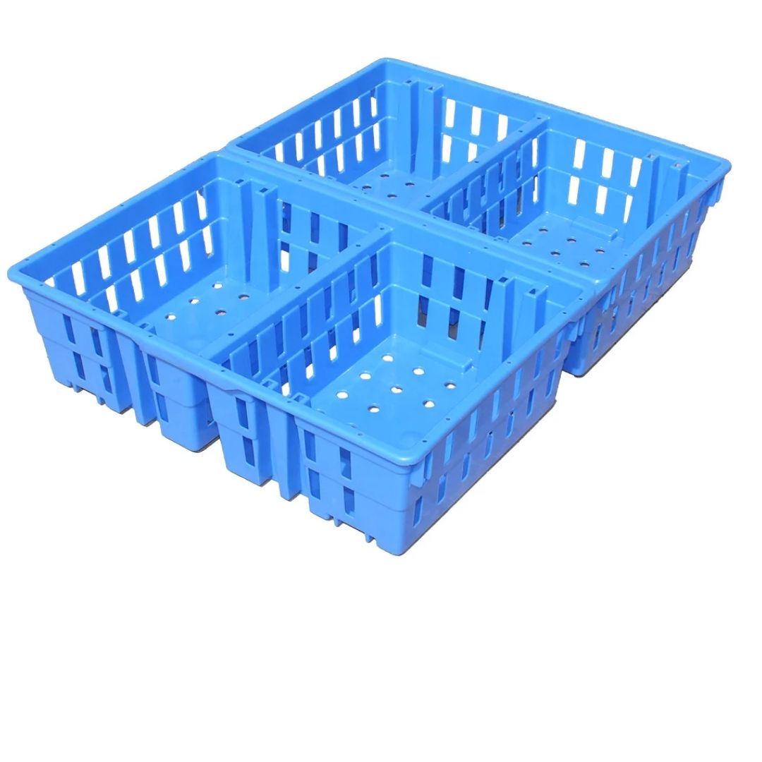 Plastic-Crates 4 Compartment Chick Crate (Stackable & Nestable) Nilkamal