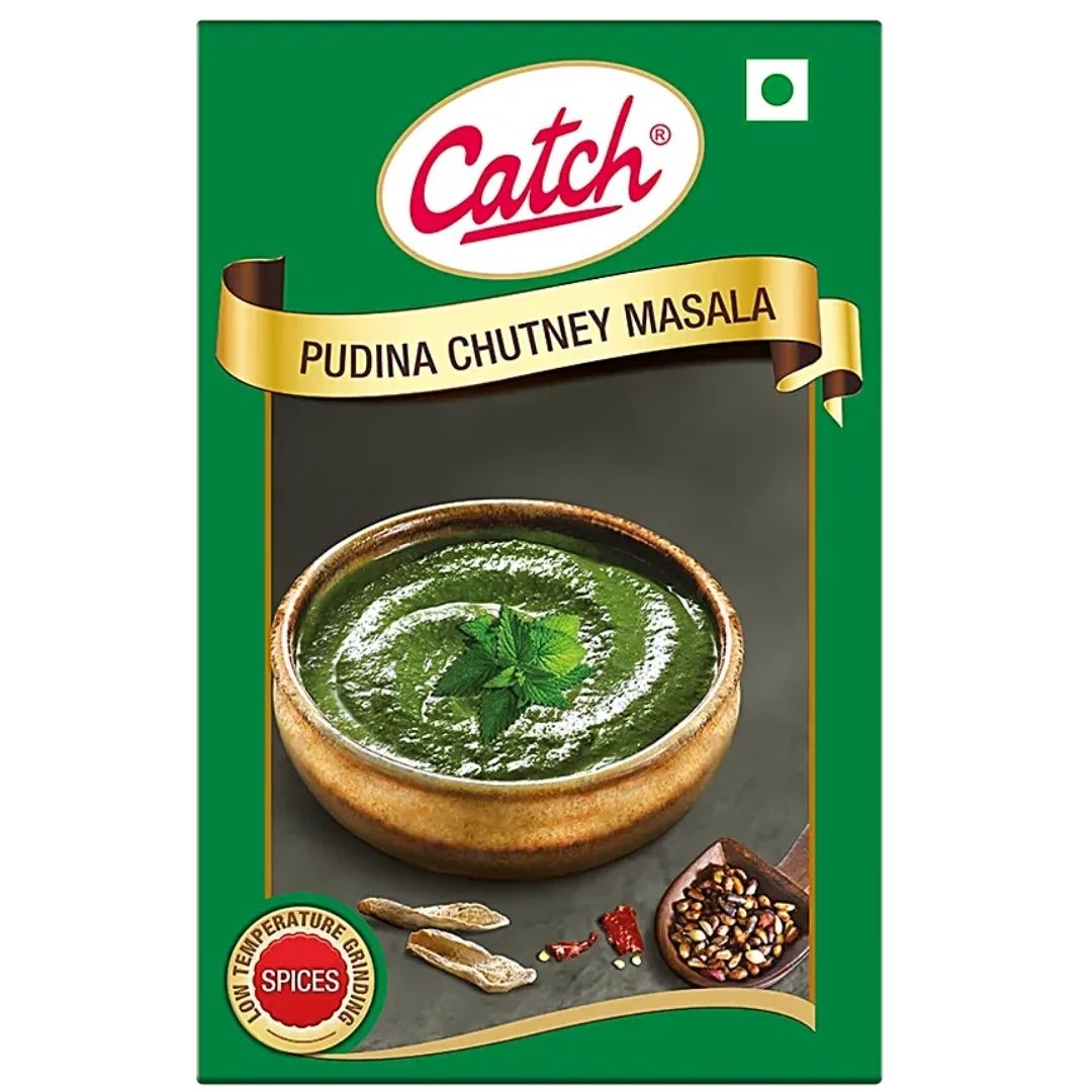  Pudina Masala Powder 100 gm  Catch